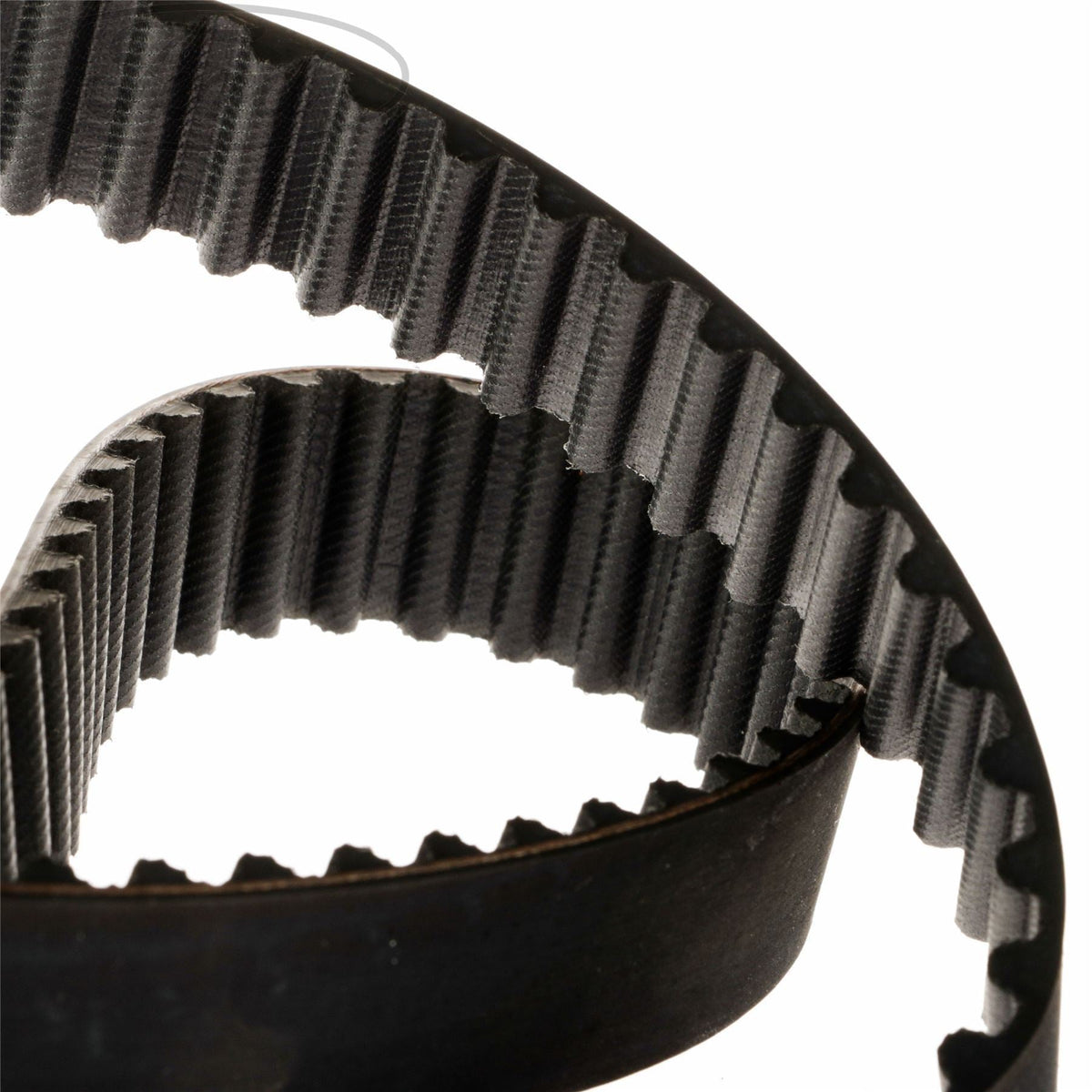 TIMING CAM BELT
