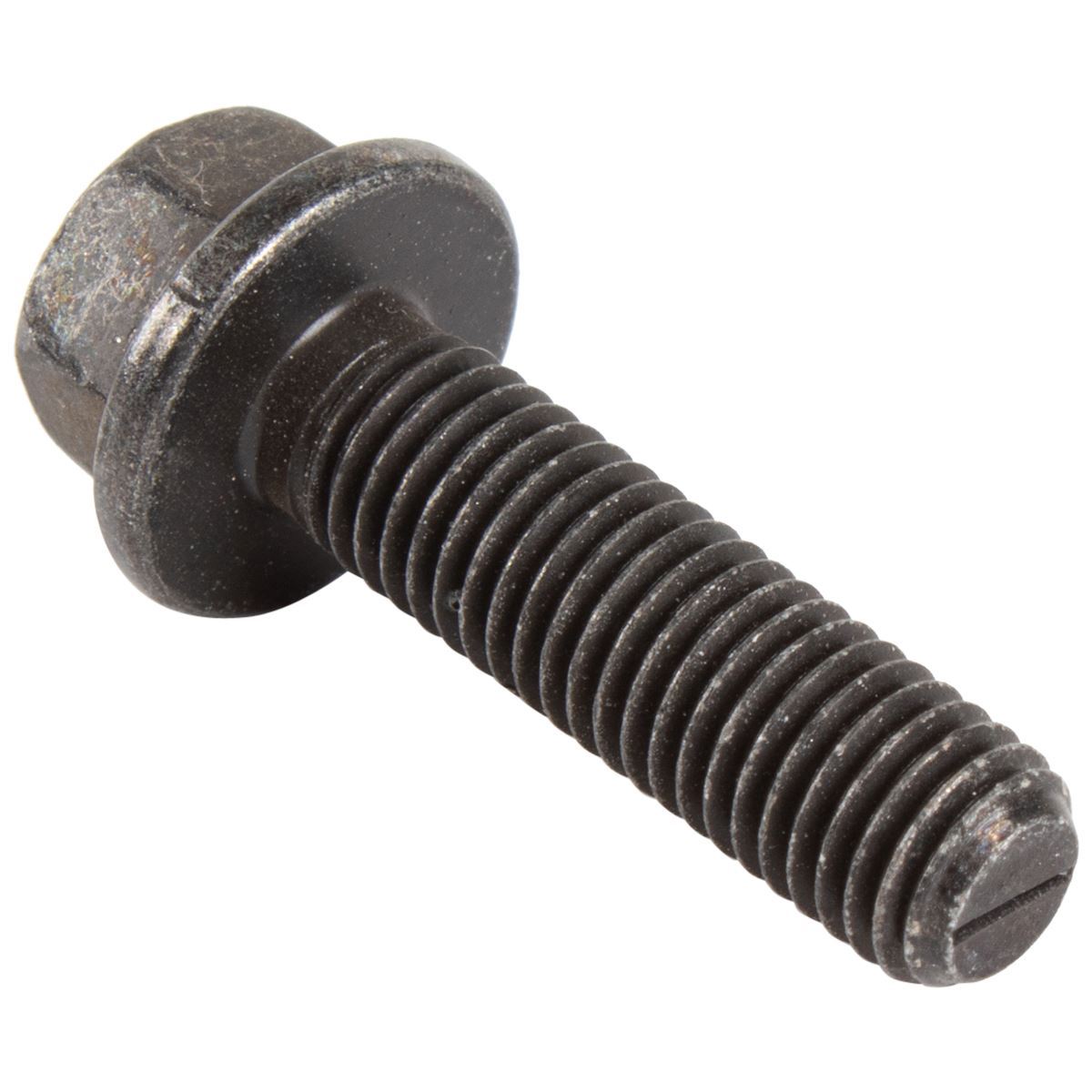 OIL PUMP SCREW