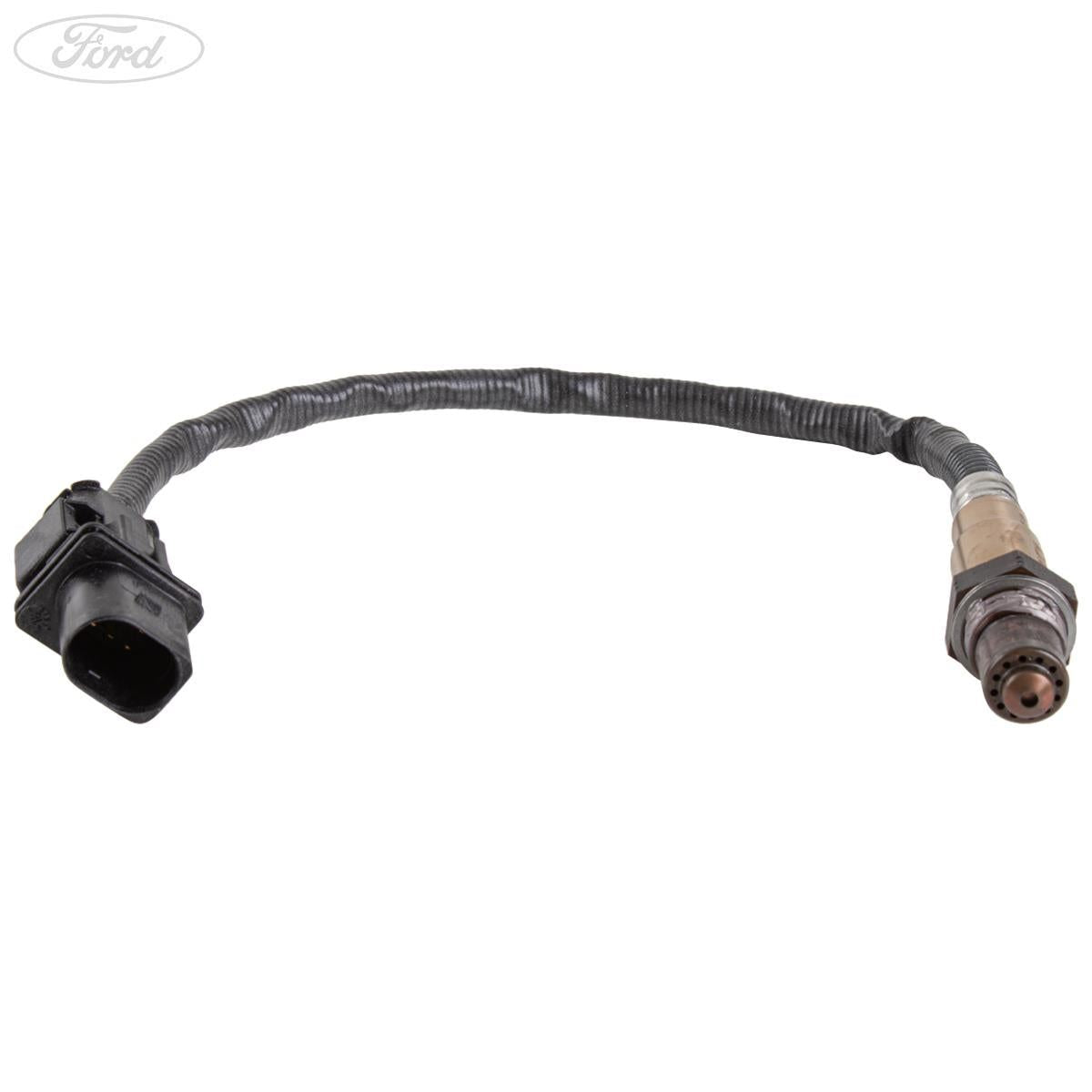 HEGO SENSOR
