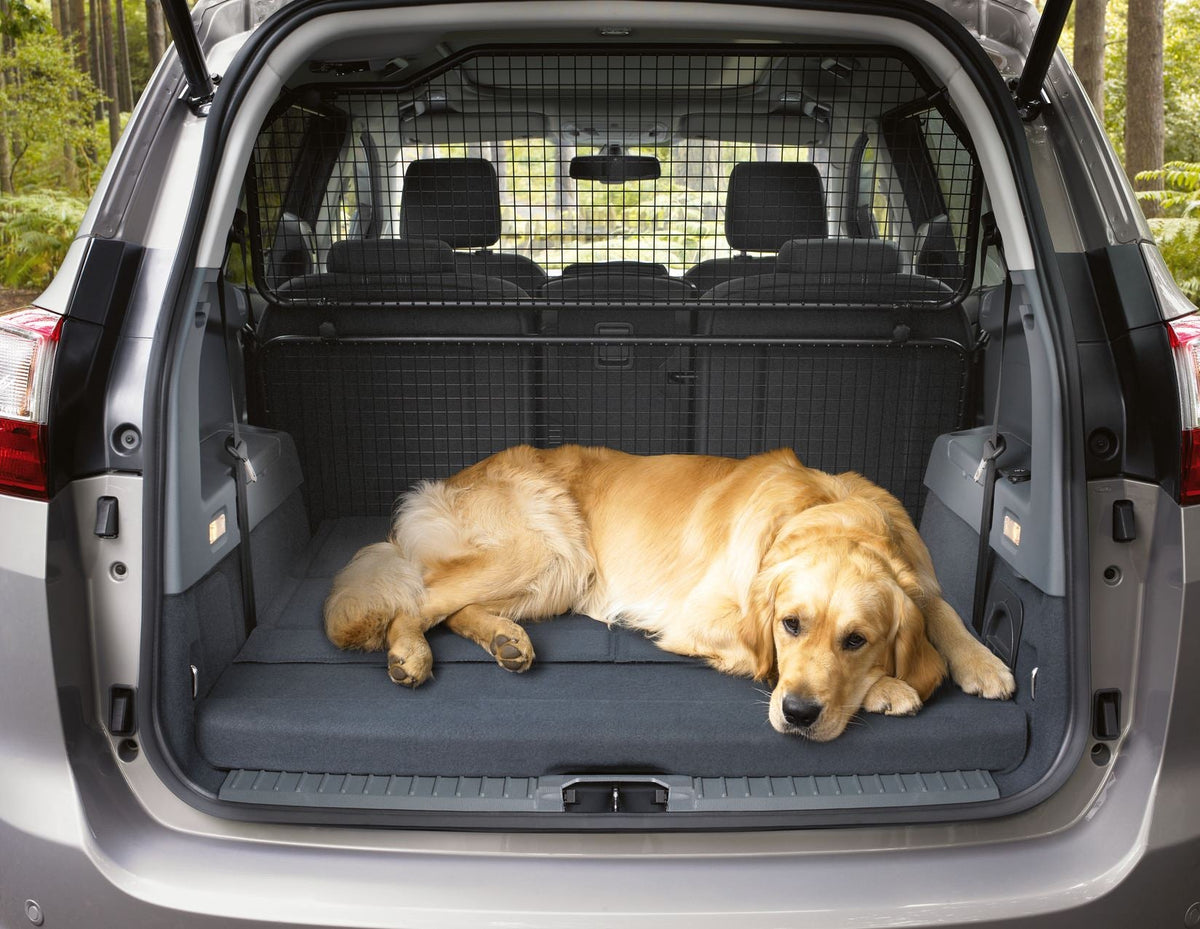 C-MAX LOAD RETENTION GUARD EXTENSION 04/2015, GRAND C-MAX.