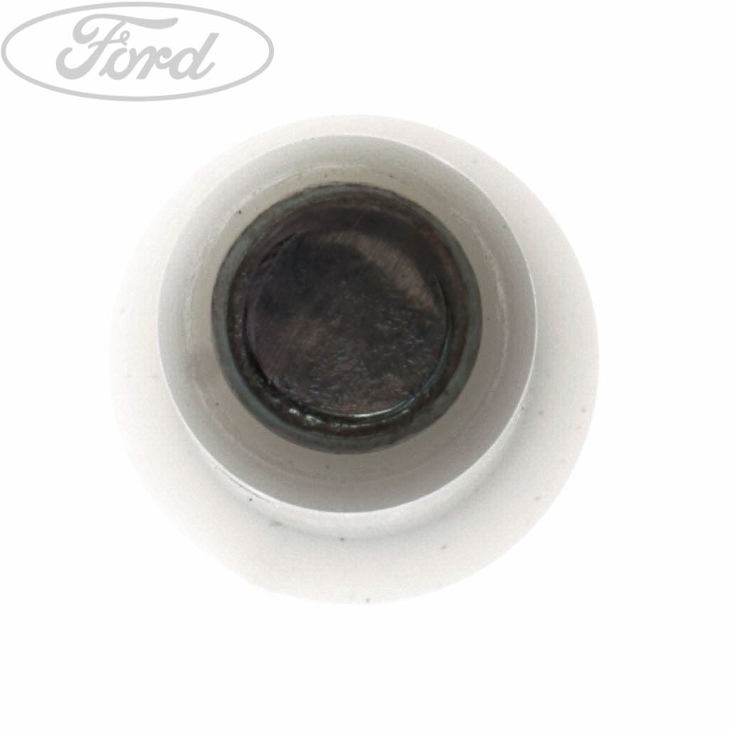 BRAKE BOOSTER BUSH