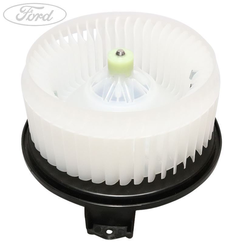 FAN AND MOTOR
