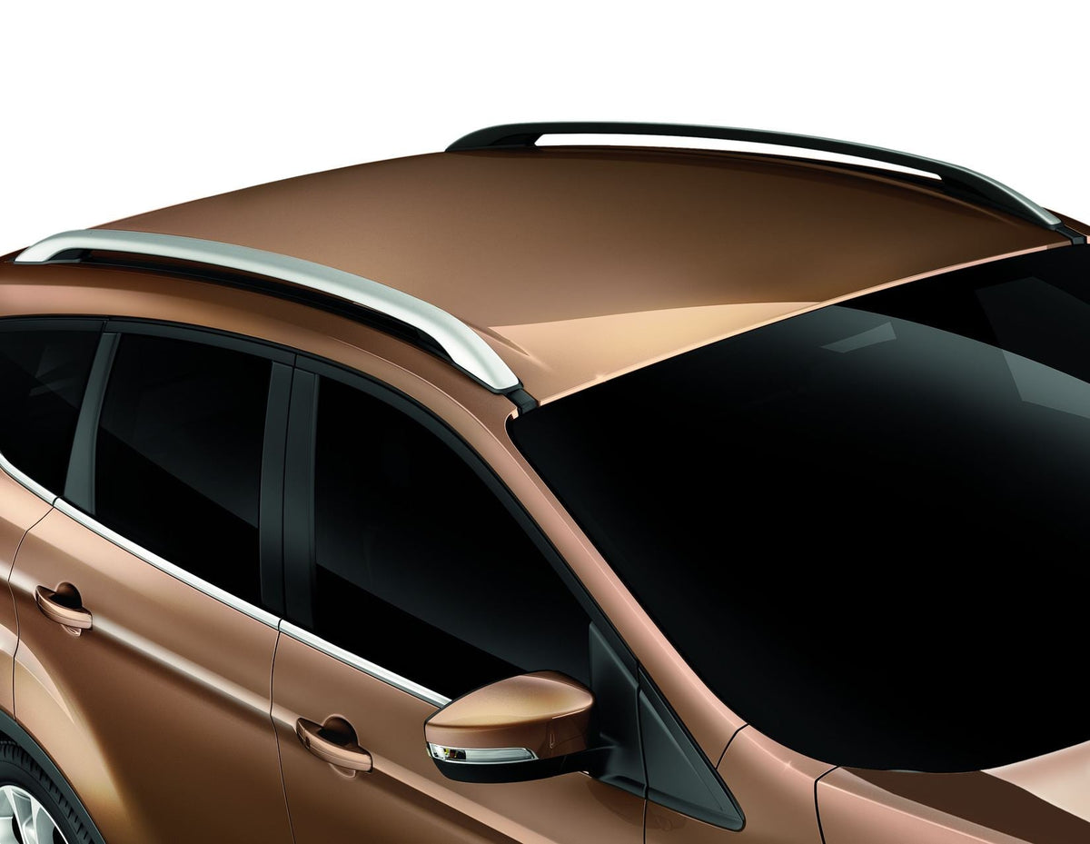 ROOF RAILS 11/2012