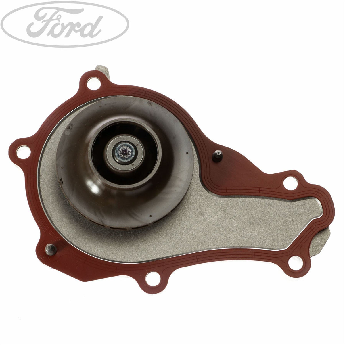 FIESTA FUSION TIMING CAM BELT KIT & WATER PUMP