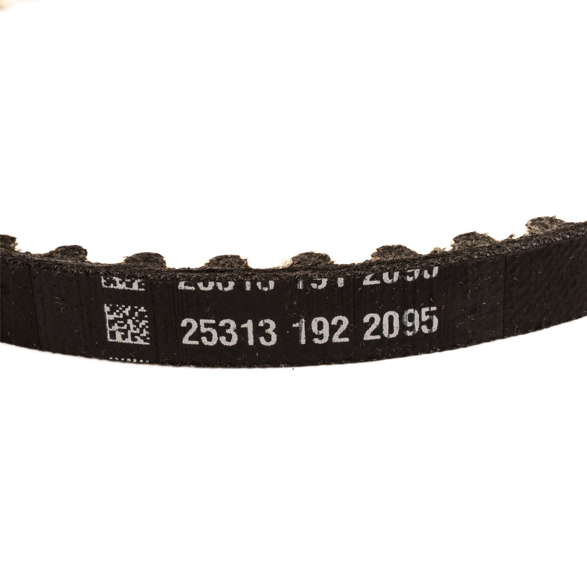 KA+ 1.2 Dragon 65/85/96BHP Oil Pump Drive Belt 2018-2019