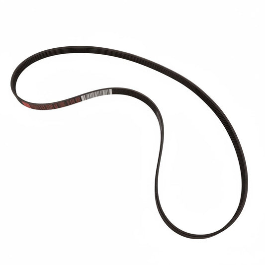 1.5 EcoBoost Alternator Drive V-Belt 2014-2020