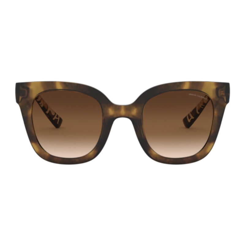 AX4087S 803713 Havana/Brown Gradient