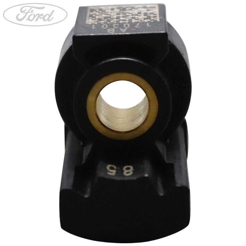 MAGNET