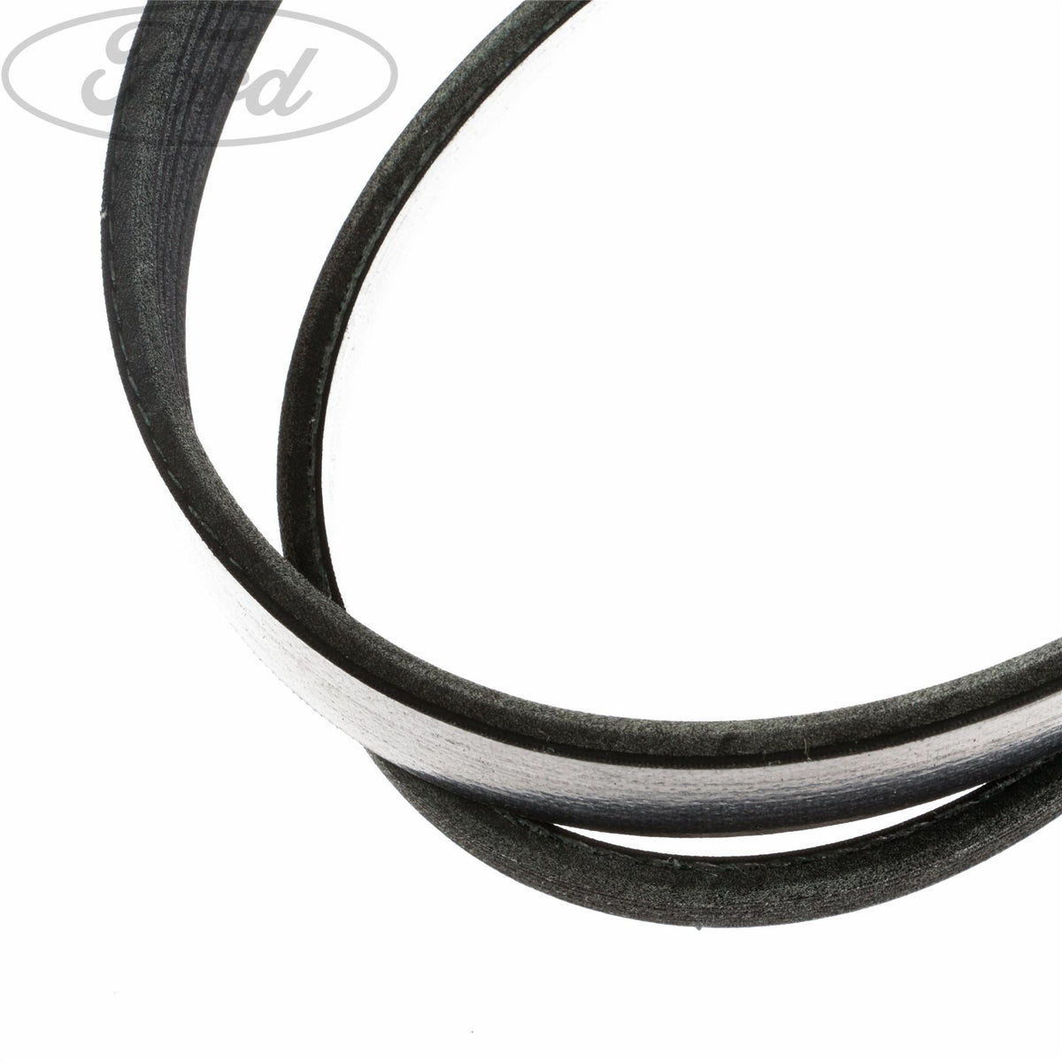 FOCUS ZETEC-S ALTERNATOR BELT WITH AIR CONDITIONING 2001-2005