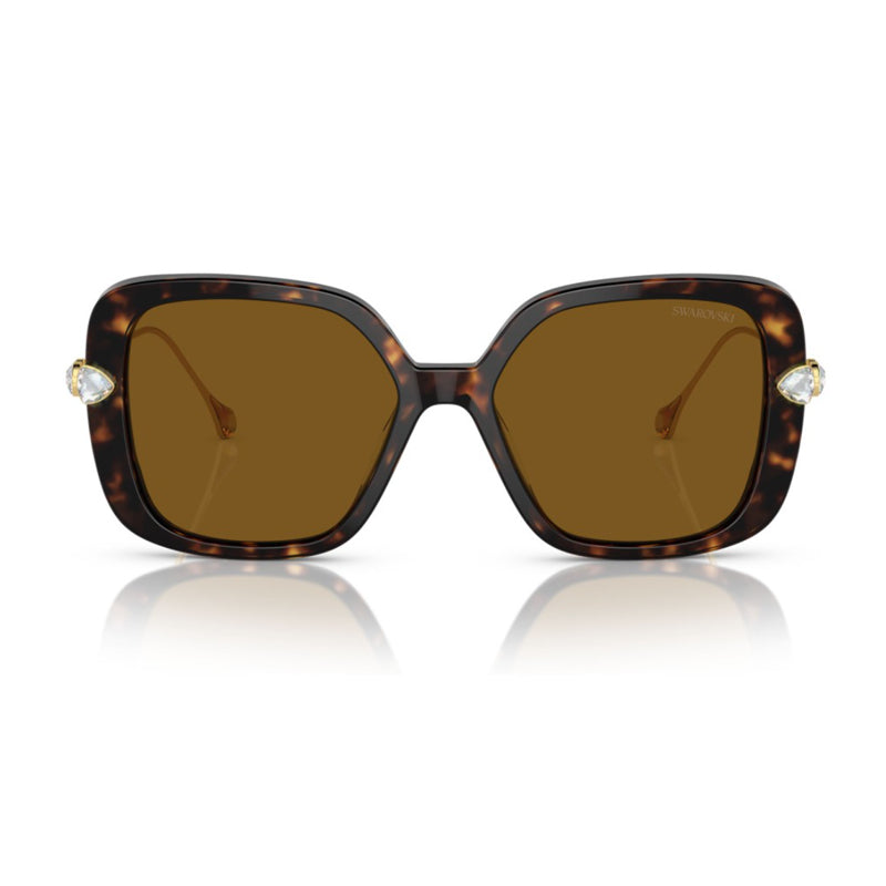 SK6011 100283 Havana/Brown Polarized