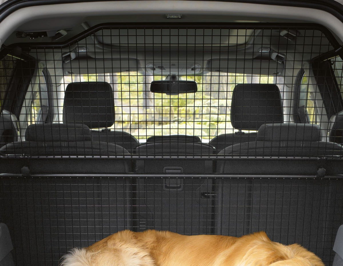 C-MAX LOAD RETENTION GUARD 04/2015