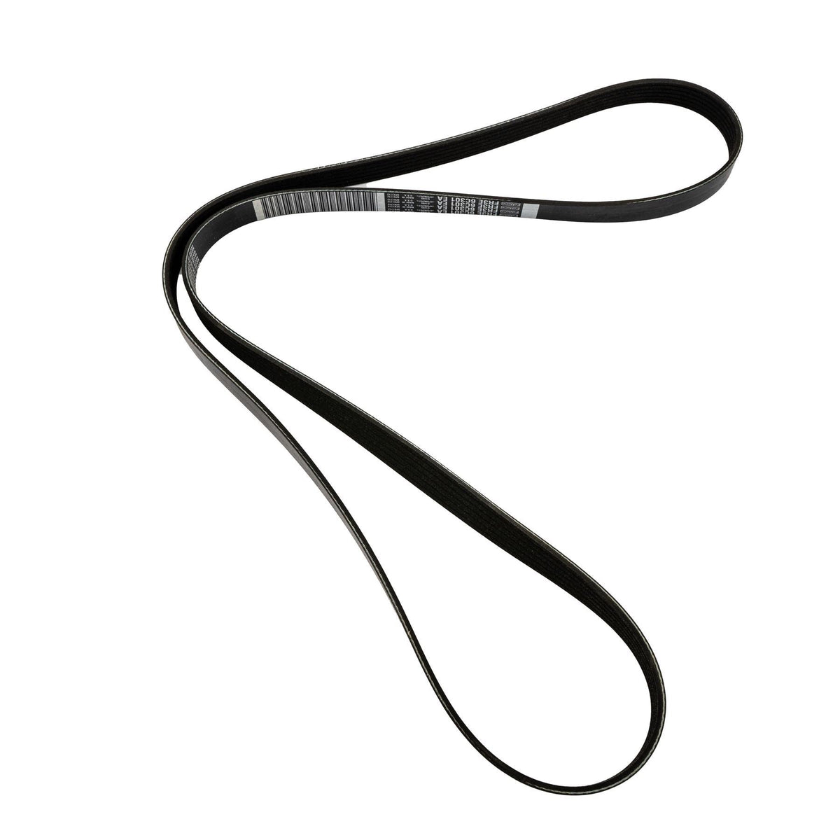 MUSTANG 5.0 V8 SEFI ALTERNATOR DRIVE BELT 2015-2023
